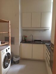 The Vesta (D15), Apartment #455468771